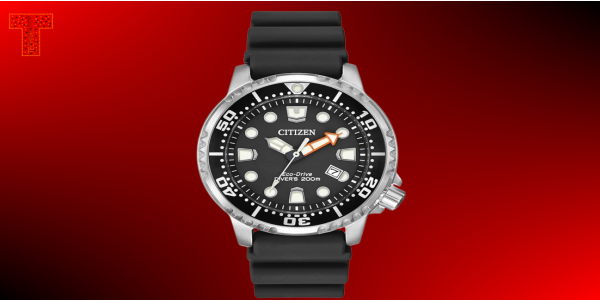 Citizen Promaster Dive EcoDrive Watch